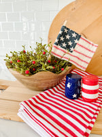 American Flag