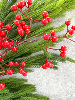 Red Berry Spray
