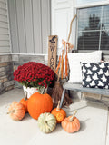 Fall Bow Ribbon Set
