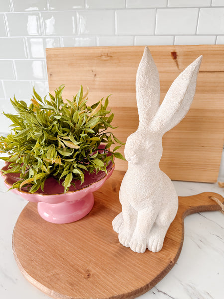 Stone The Bunny