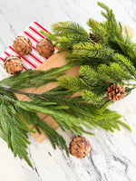 31” Short Needle Real Touch Norfolk Pine Branch