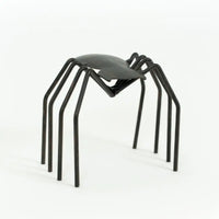 Spider Set Of Two