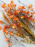 Orange Wild Flower & Grass Bush