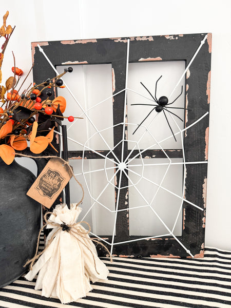 Spider Web Art