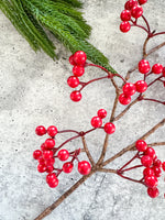 Red Berry Spray