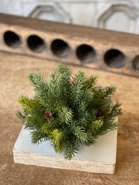 White Spruce Half Sphere | 8"