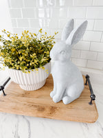 Nibbles The Bunny