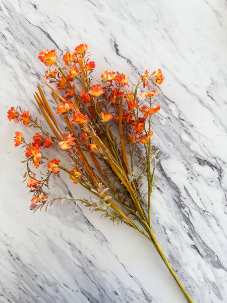 Orange Wild Flower & Grass Bush