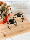 Spider Set Of Two