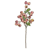 Plum Berry Spray