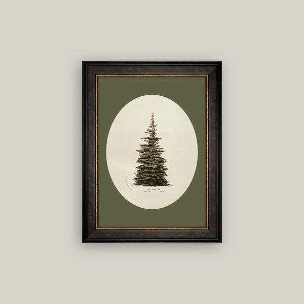 Oval Matte Tree Framed Art