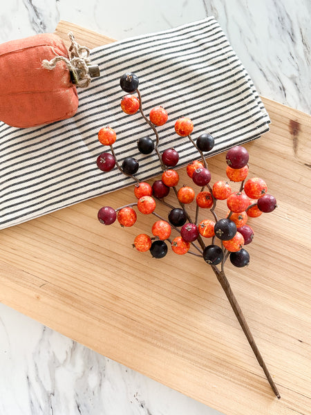 Red, Orange & Black Berry Pick