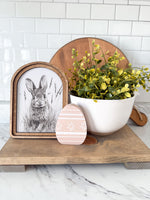 Bunny Sketch Framed Art