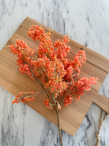 Mountain Ash Orange Berry Pick