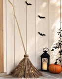 Light Up Witch Broom