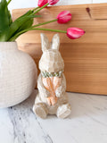 Carrots Patch Bunny