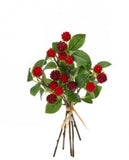 Wild Raspberry Bundle