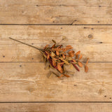 18" Orange & Green Oak Leaf & Berries Pick