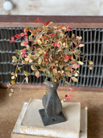 Bog Bush Red