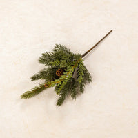 White Spruce & Tusga Hemlock Pick