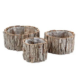 Tree Bark Planters 3pcs