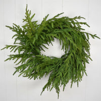 24” Natural Real Touch Norfolk Pine Wreath