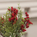 Red Berry Pick