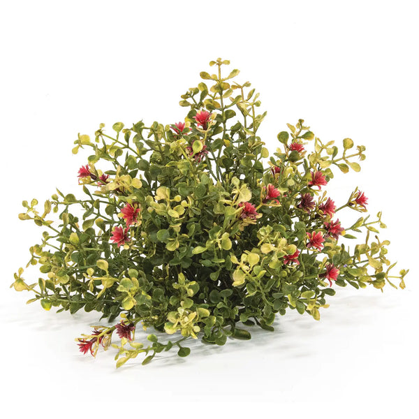 Ruby Buds Baby's Grass Half Sphere, 10"