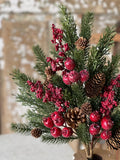 Cranberry Pine Bush