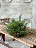Moutain Pine Half Sphere