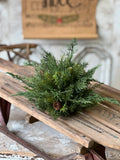 Moutain Pine Half Sphere