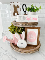 Poppy The Bunny