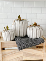 Grey & White Striped Pumpkin