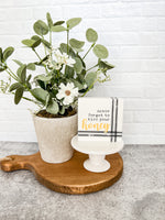 White Blossoms Potted Plant