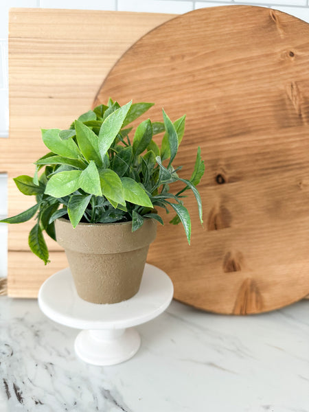 Herb Potted Plant No.3