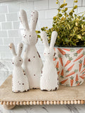 Bunny Family