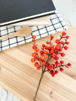 Cranberries Pick | Orange
