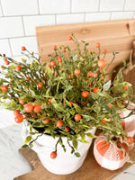 Orange Berry Pick