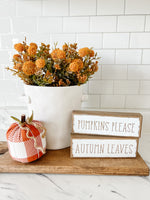 Leaves/ Pumpkins Reversible Sitter