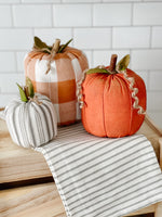 Grey & White Striped Pumpkin