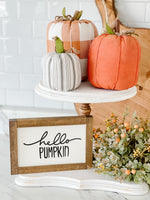 Grey & White Striped Pumpkin