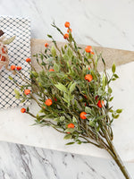 Orange Berry Pick