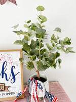 Eucalyptus Tree