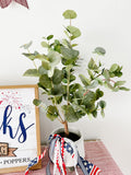 Eucalyptus Tree