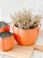 Pumpkin Planters