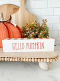 HAPPY FALL REVERSIBLE SITTER