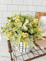 Yellow Wild Wonder Half Sphere