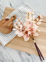 Blushing Eucalyptus Bundle
