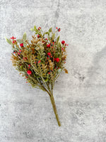 Red Berry Pick