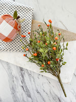 Orange Berry Pick